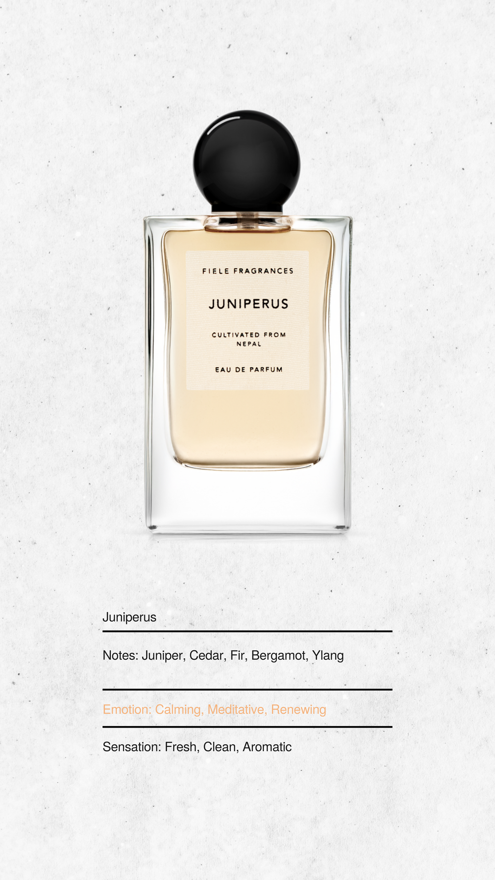 FIELE FRAGRANCES JUNIPERUS　フィエールフレグランス訳有 TODAYFUL(トゥデイフル) / Life's online store（ライフズ